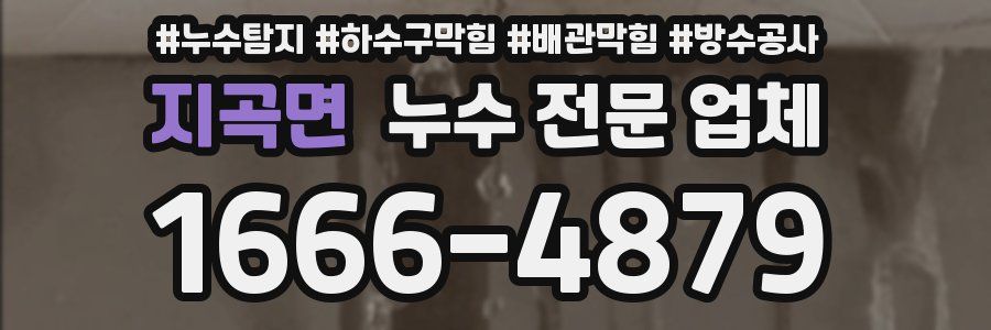 지곡면 누수 전문 업체