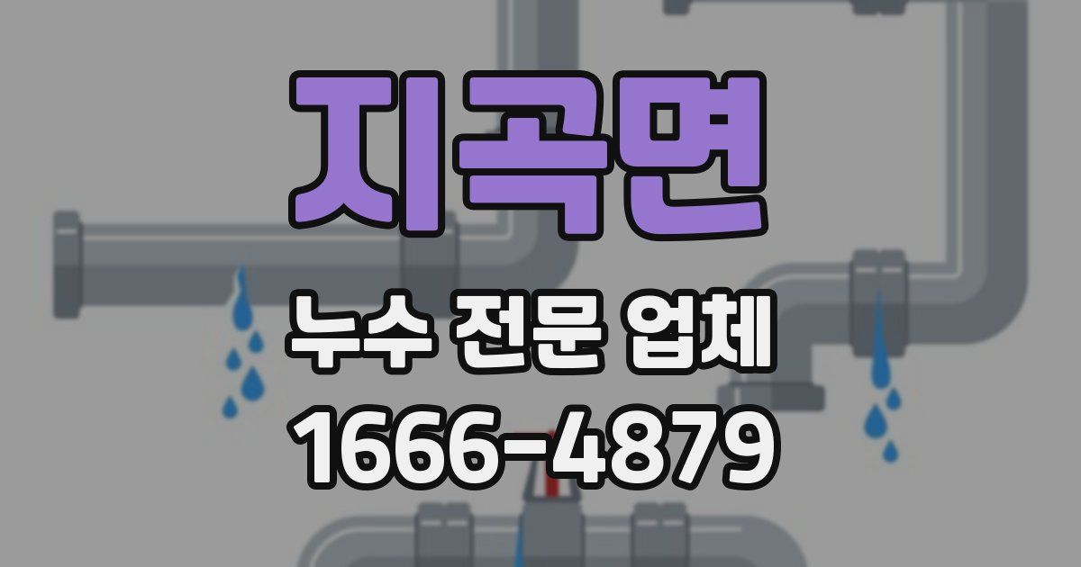 지곡면 누수 전문 업체