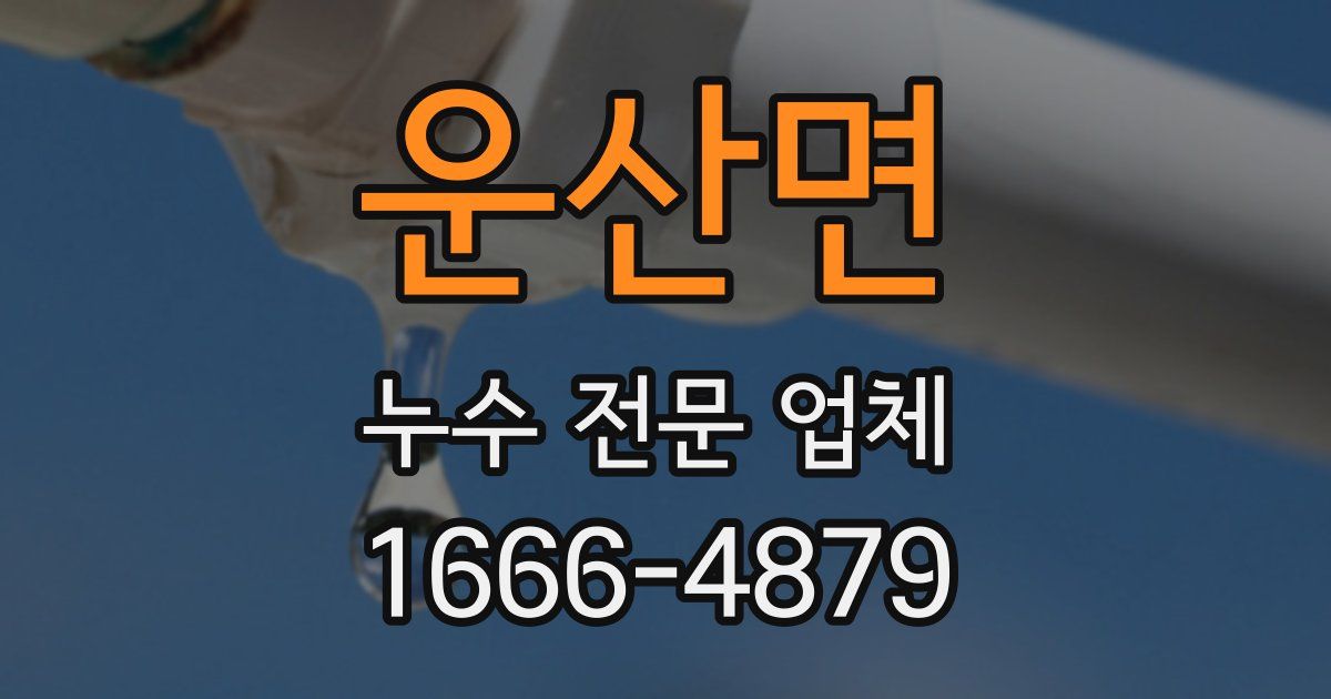 운산면 누수 전문 업체
