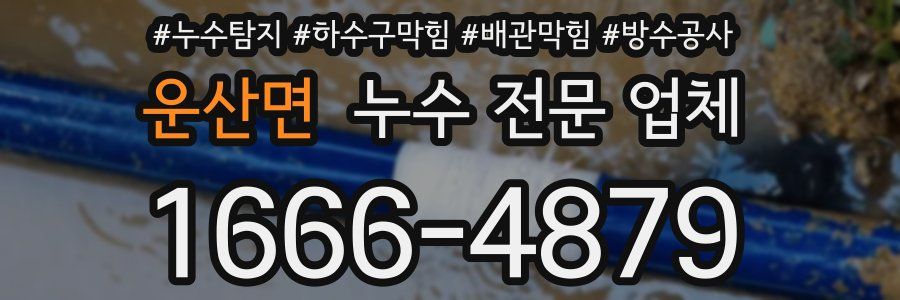 운산면 누수 전문 업체