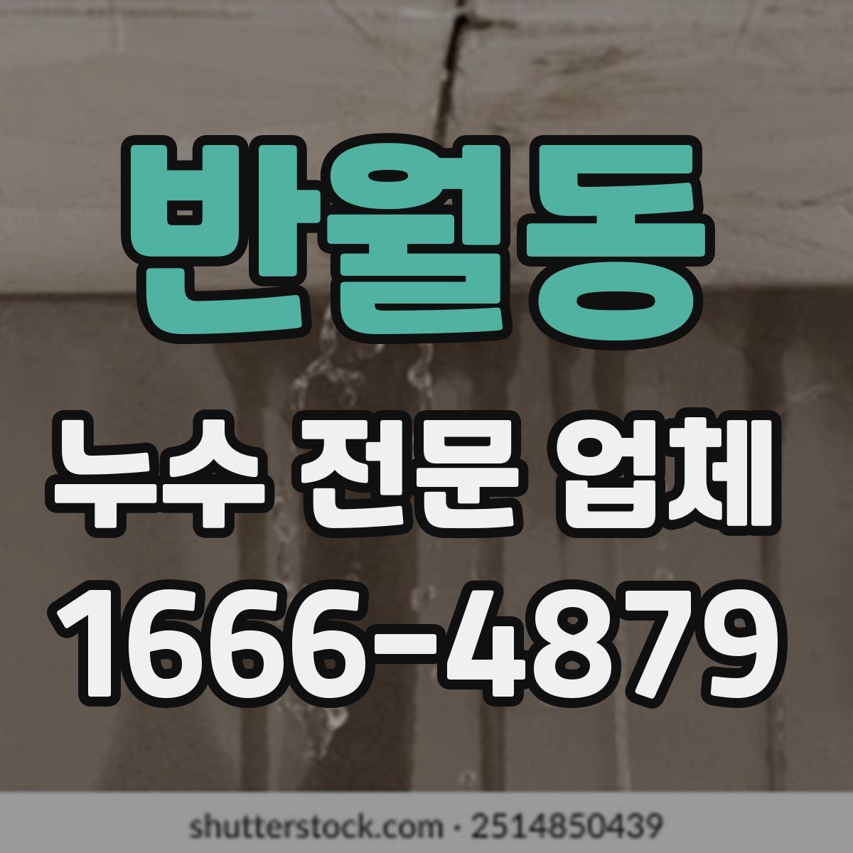 반월동 누수 전문 업체