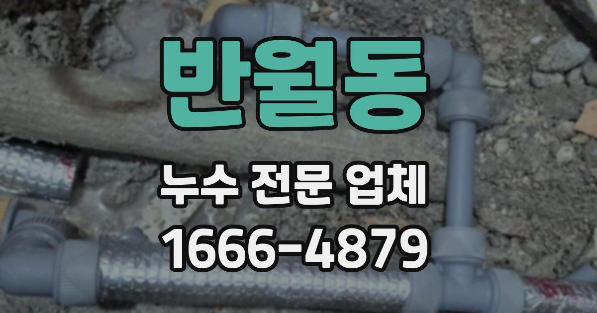 반월동 누수 전문 업체