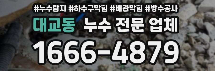 대교동 누수 전문 업체