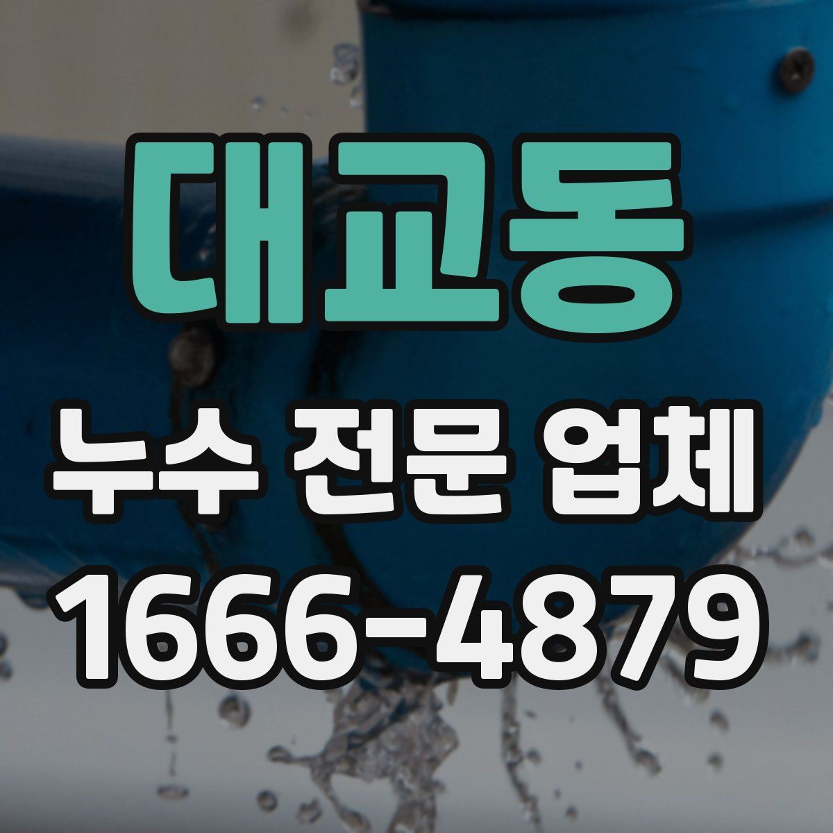 대교동 누수 전문 업체