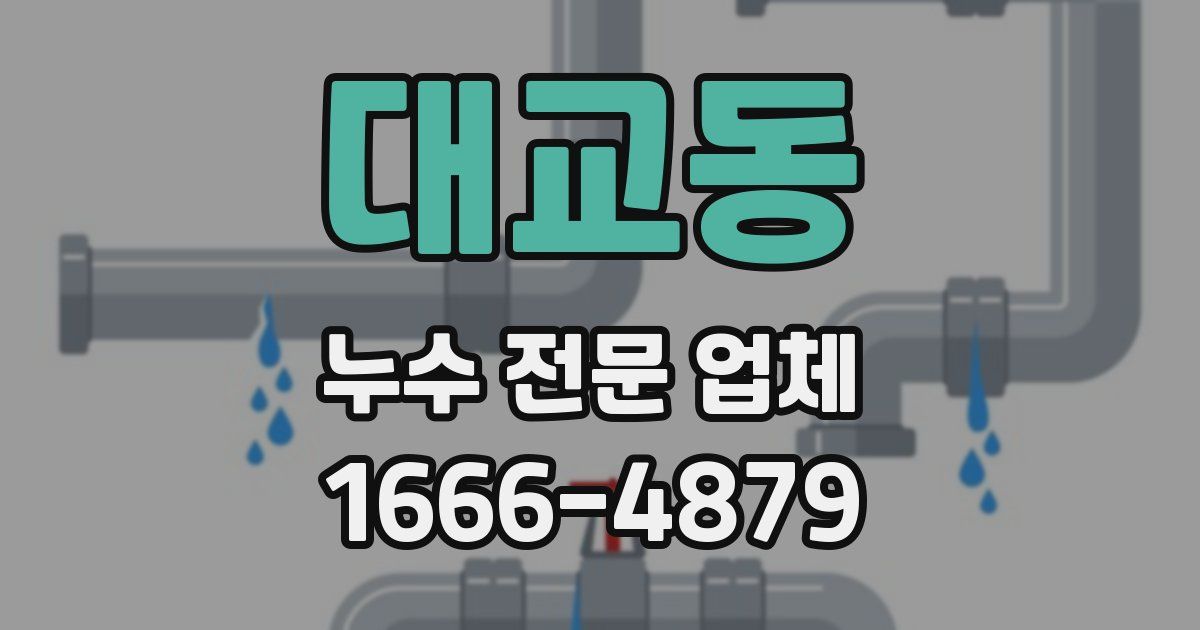 대교동 누수 전문 업체