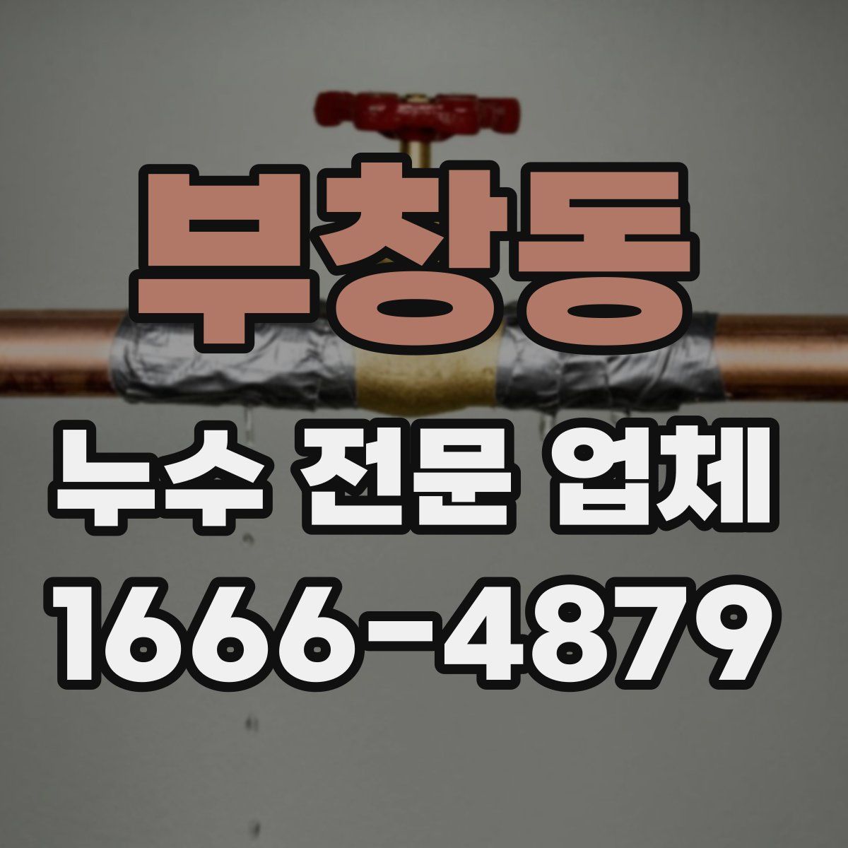 부창동 누수 전문 업체