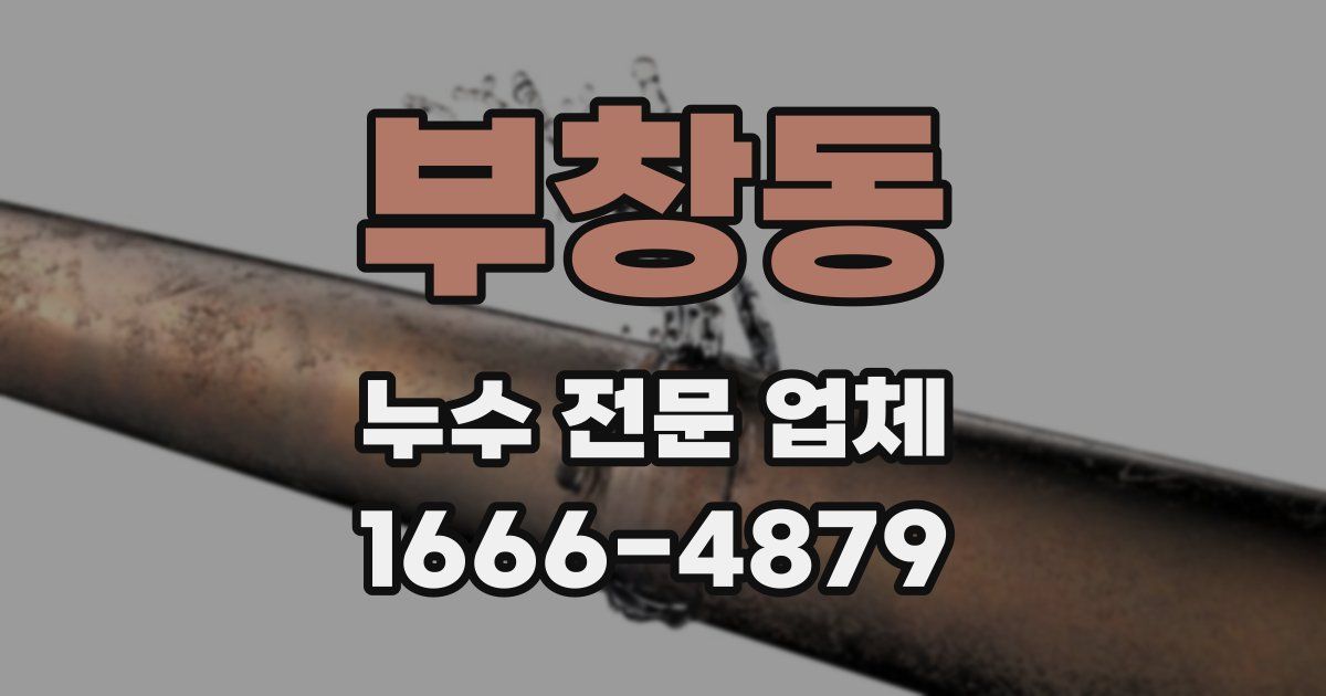 부창동 누수 전문 업체