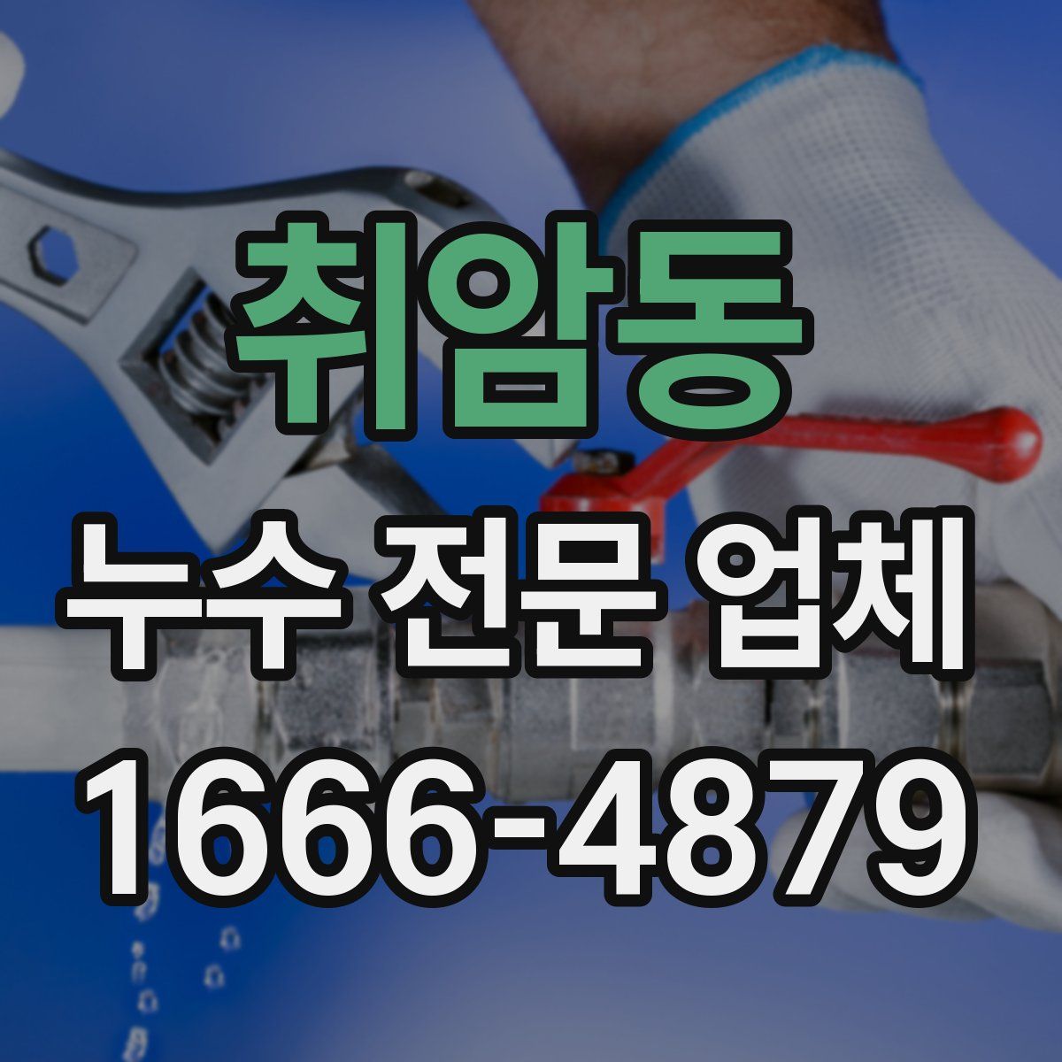 취암동 누수 전문 업체