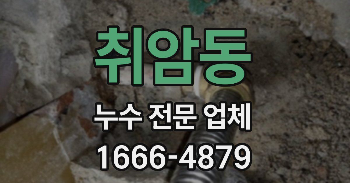 취암동 누수 전문 업체