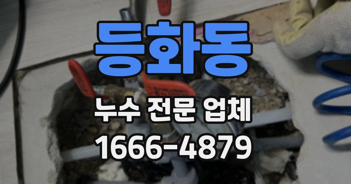 등화동 누수 전문 업체