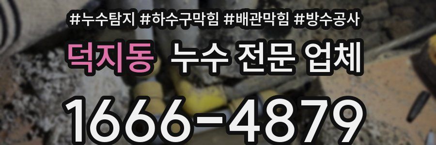 덕지동 누수 전문 업체