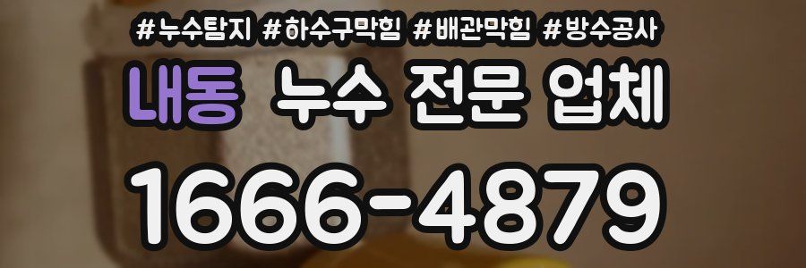 내동 누수 전문 업체