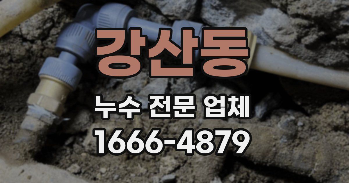강산동 누수 전문 업체