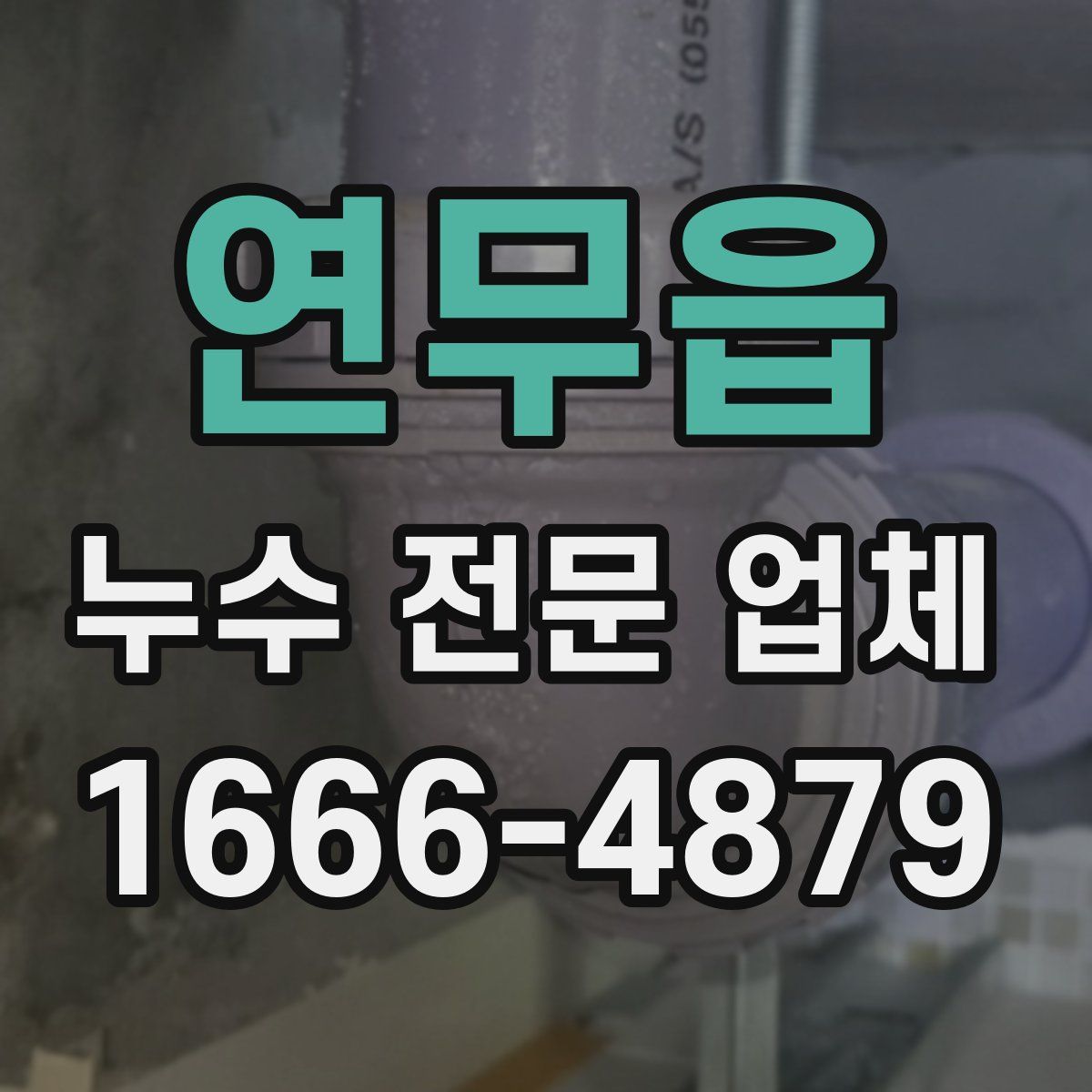 연무읍 누수 전문 업체