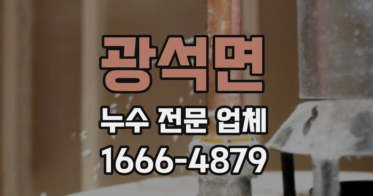 광석면 누수 전문 업체