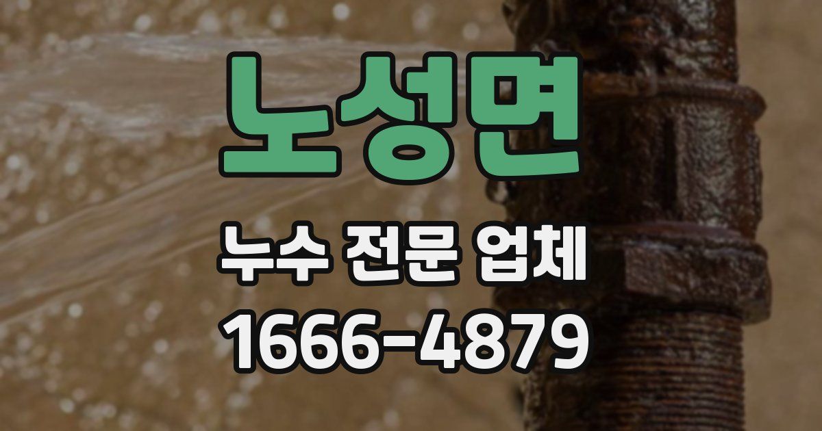 노성면 누수 전문 업체