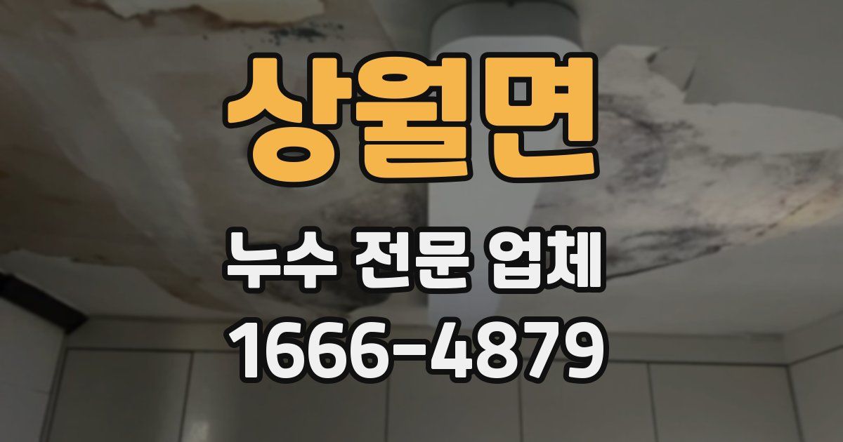 상월면 누수 전문 업체