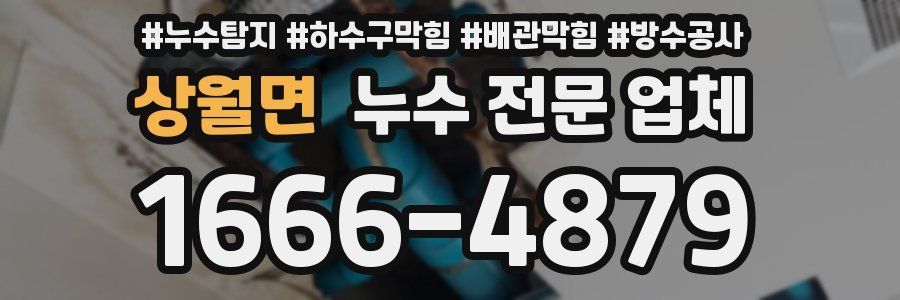 상월면 누수 전문 업체