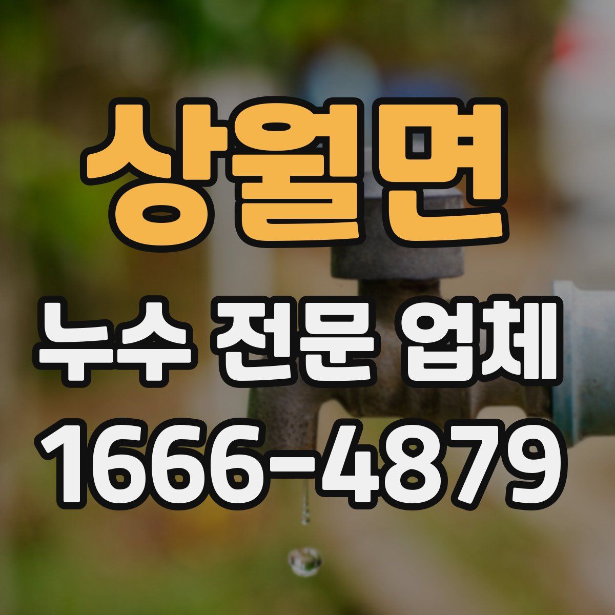 상월면 누수 전문 업체