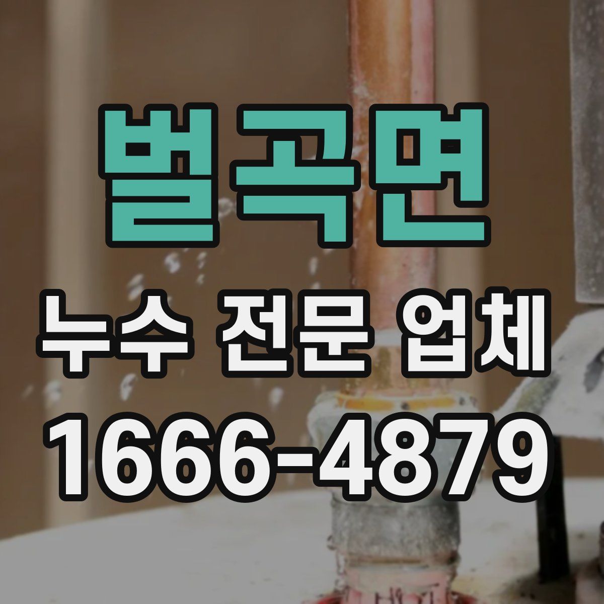 벌곡면 누수 전문 업체
