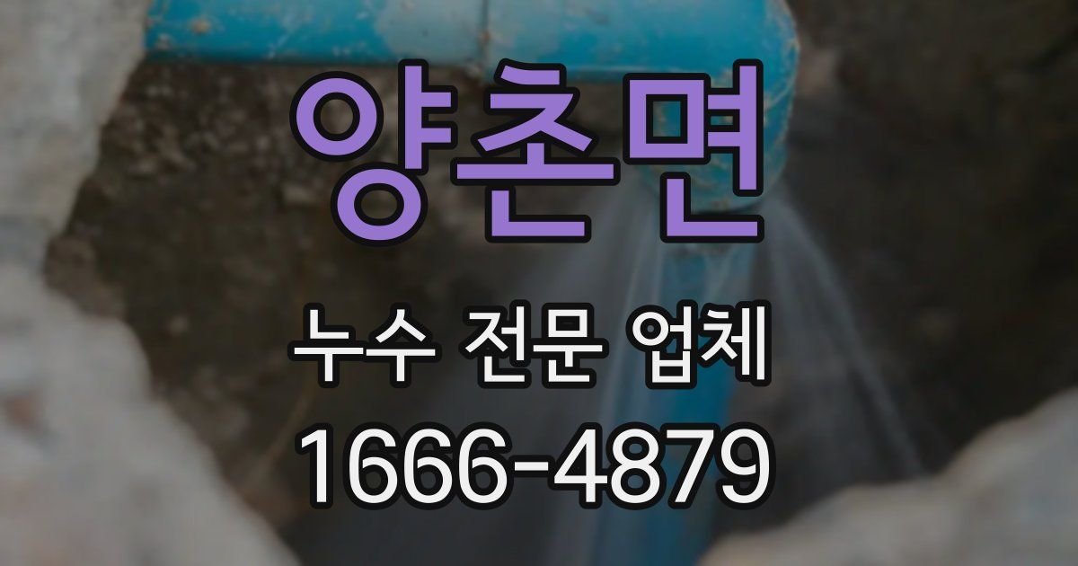 양촌면 누수 전문 업체