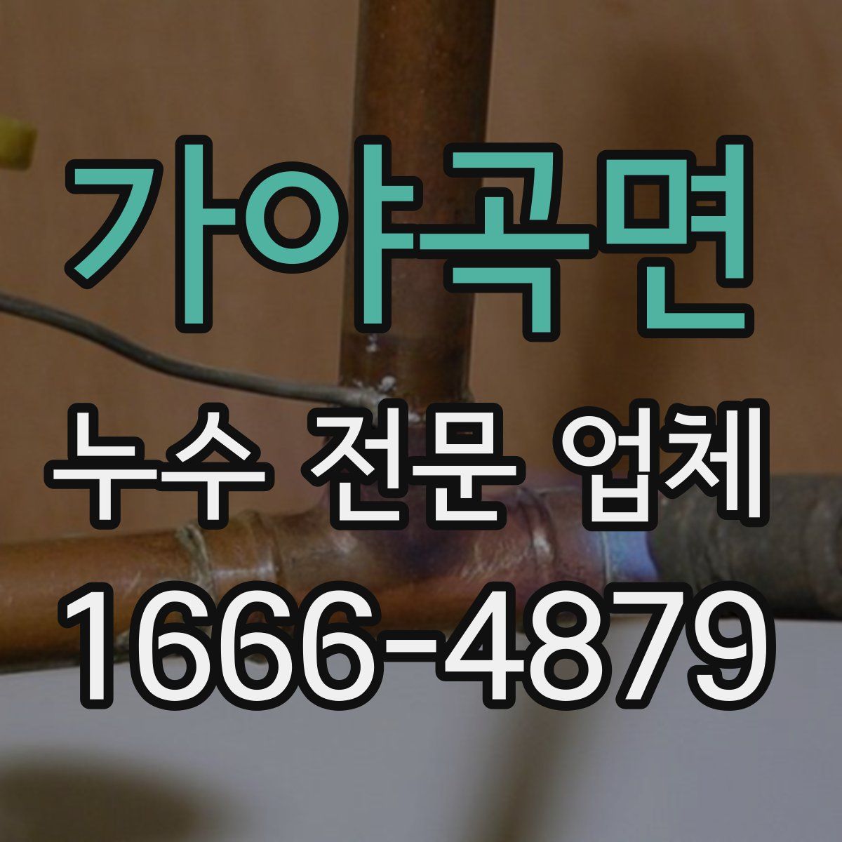 가야곡면 누수 전문 업체