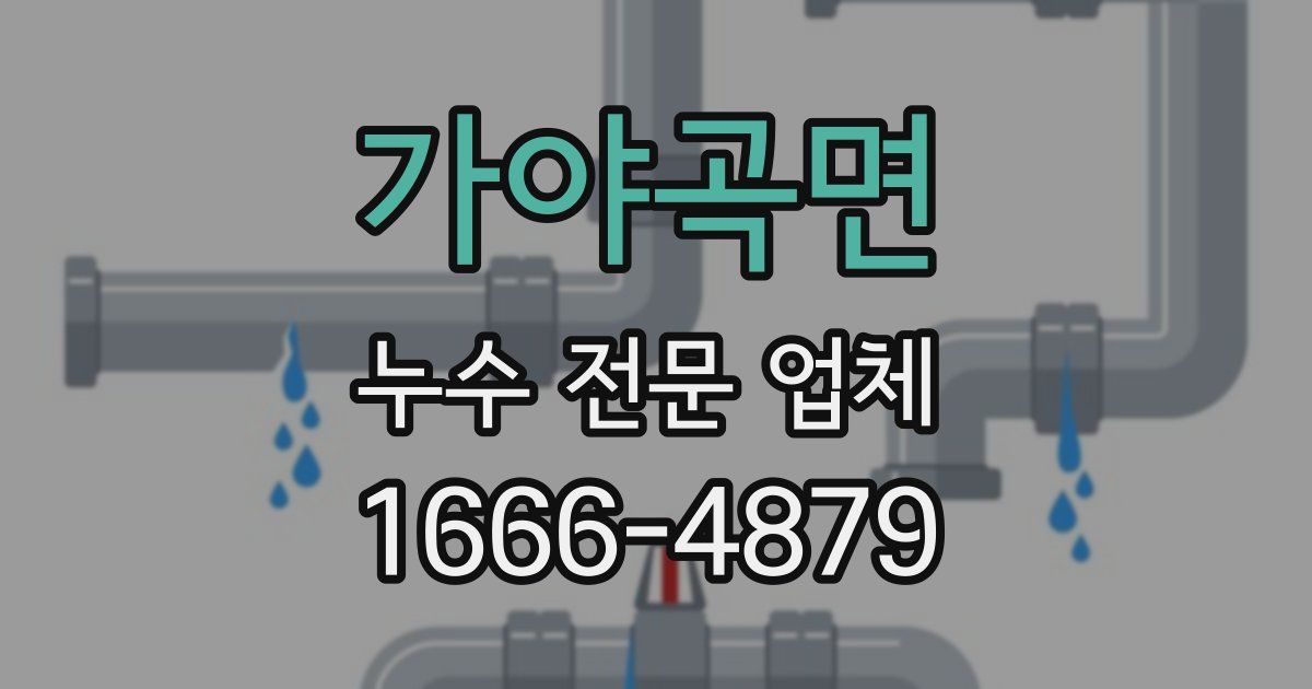 가야곡면 누수 전문 업체