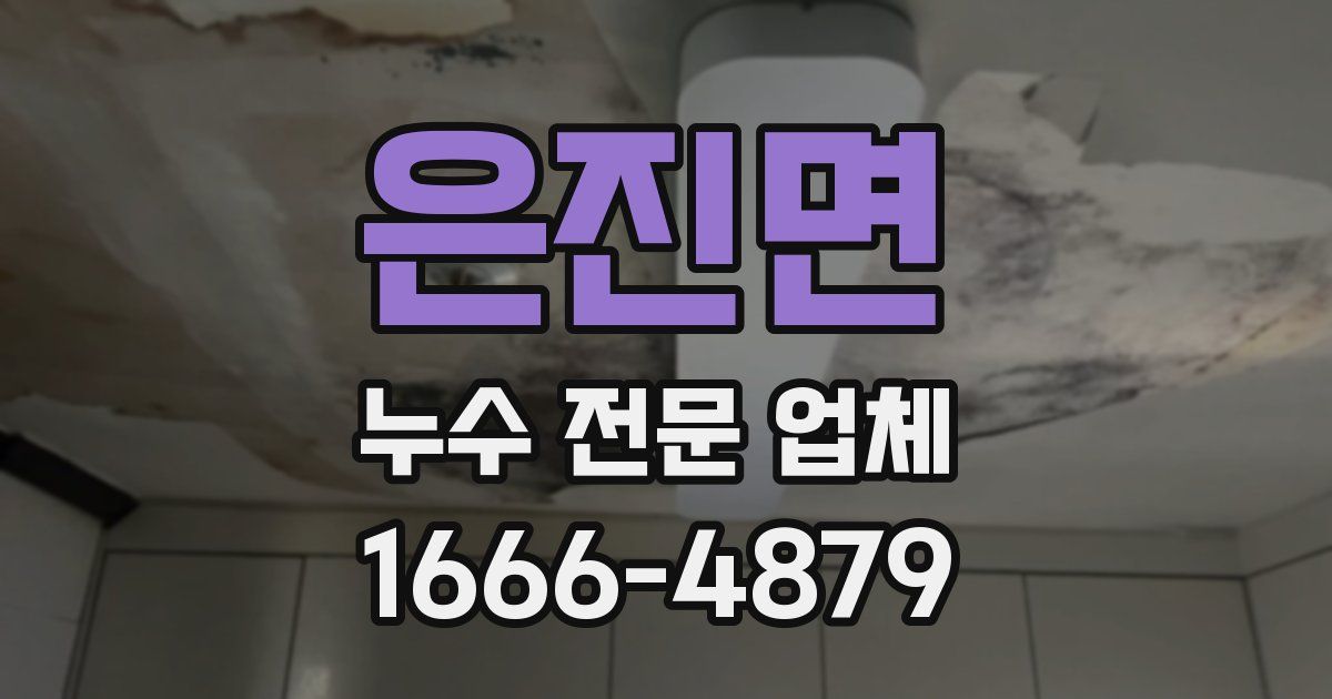 은진면 누수 전문 업체