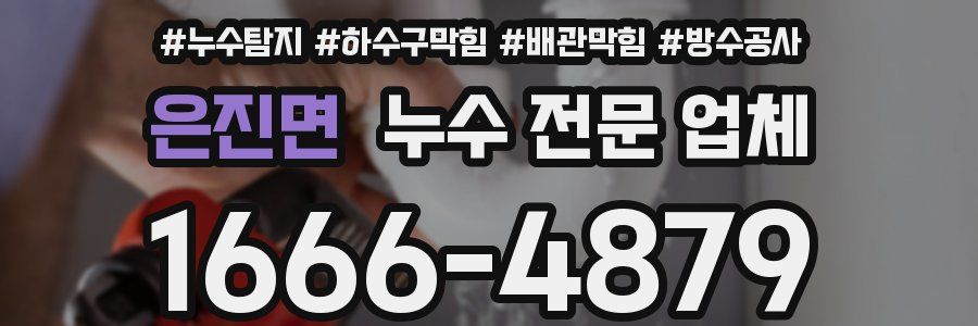 은진면 누수 전문 업체