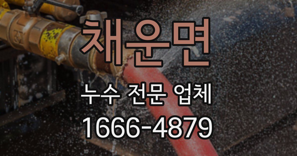 채운면 누수 전문 업체