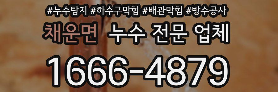 채운면 누수 전문 업체