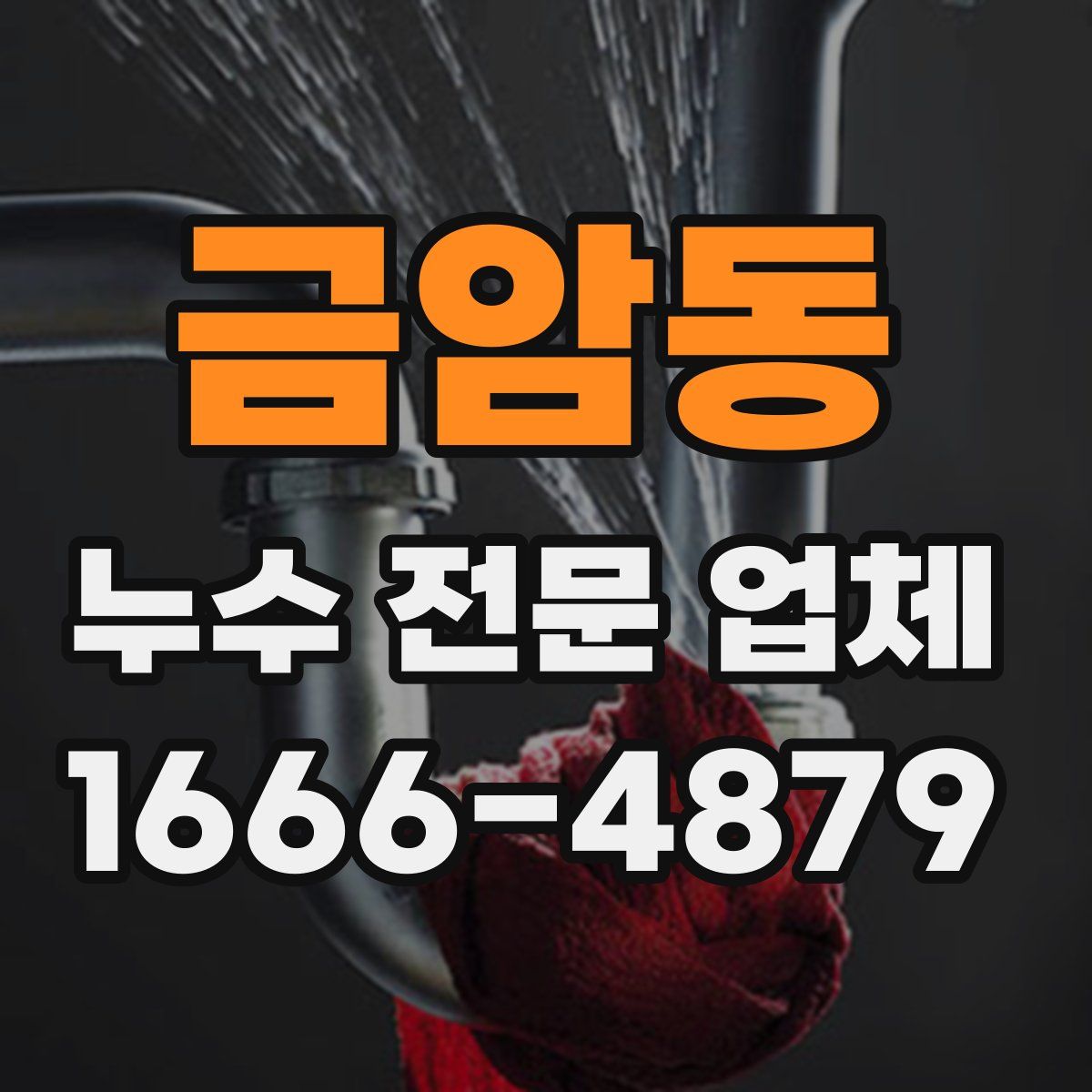금암동 누수 전문 업체