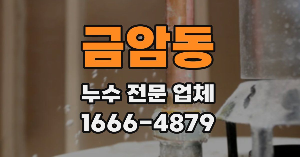 금암동 누수 전문 업체