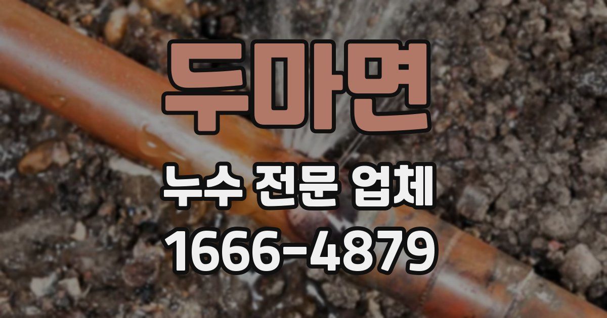 두마면 누수 전문 업체