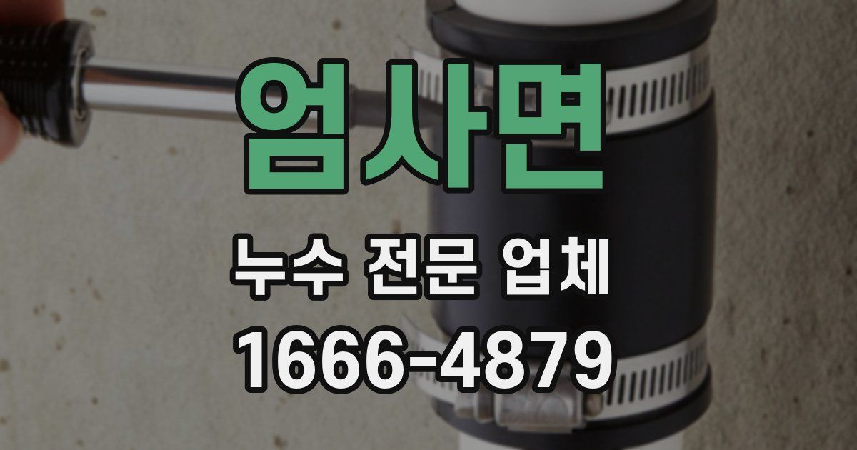 엄사면 누수 전문 업체