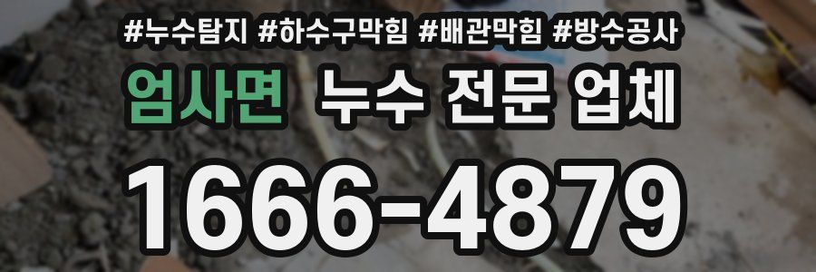 엄사면 누수 전문 업체