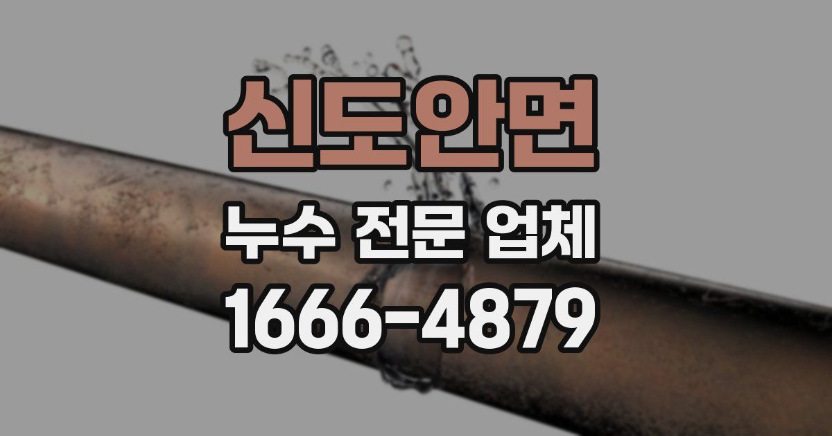 신도안면 누수 전문 업체