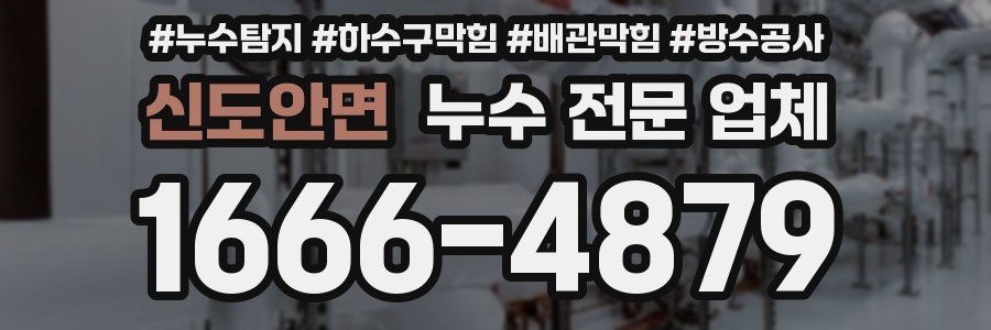 신도안면 누수 전문 업체