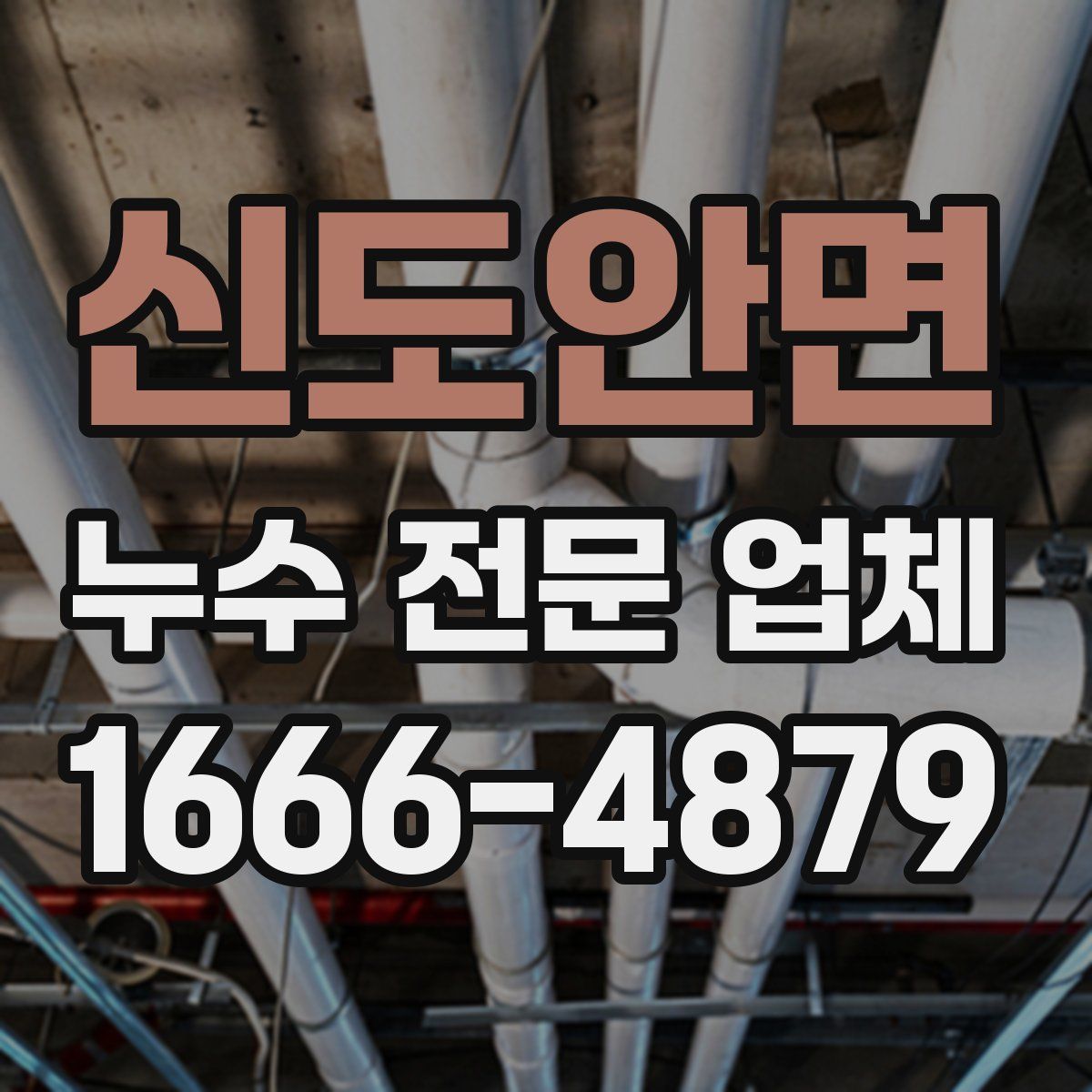 신도안면 누수 전문 업체