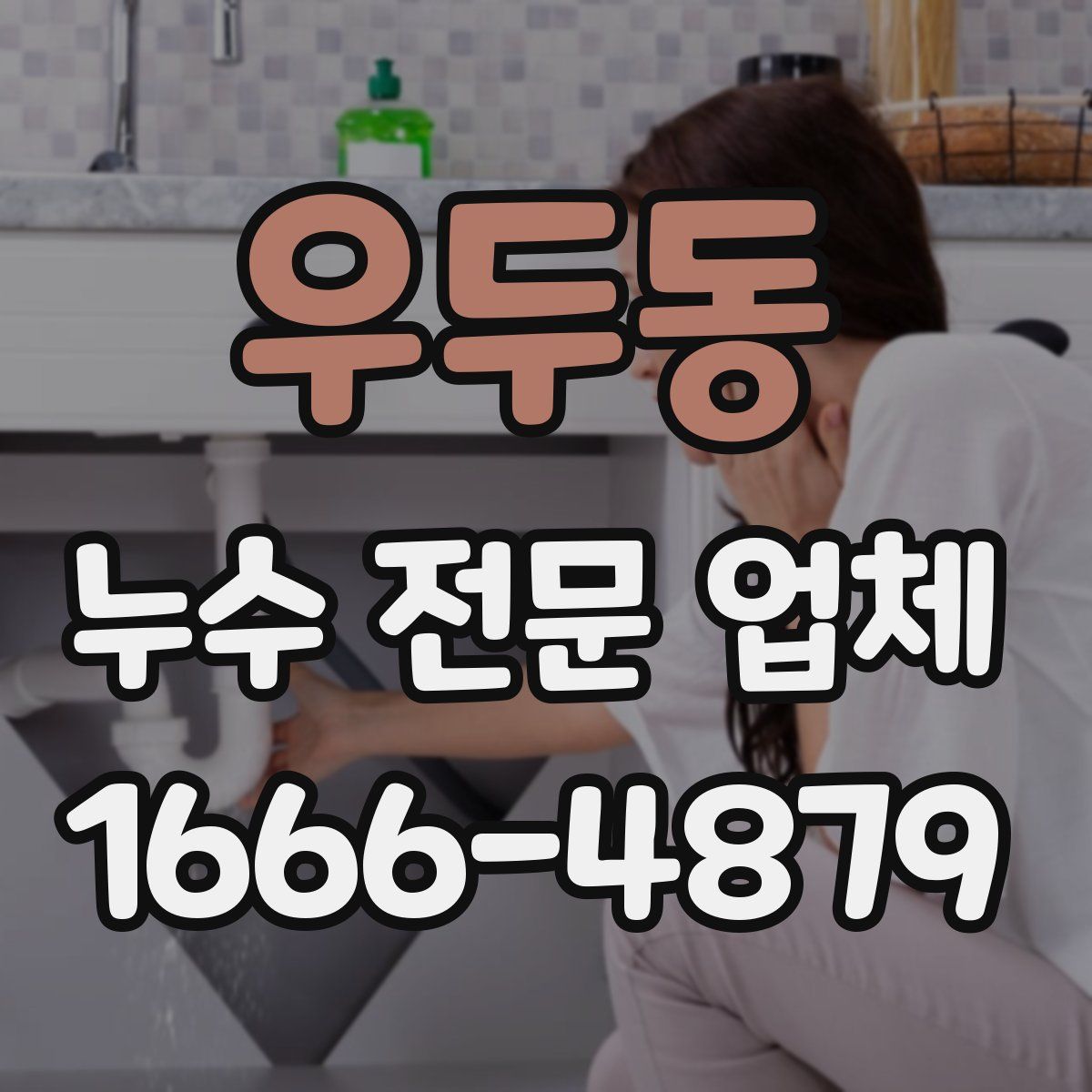 우두동 누수 전문 업체
