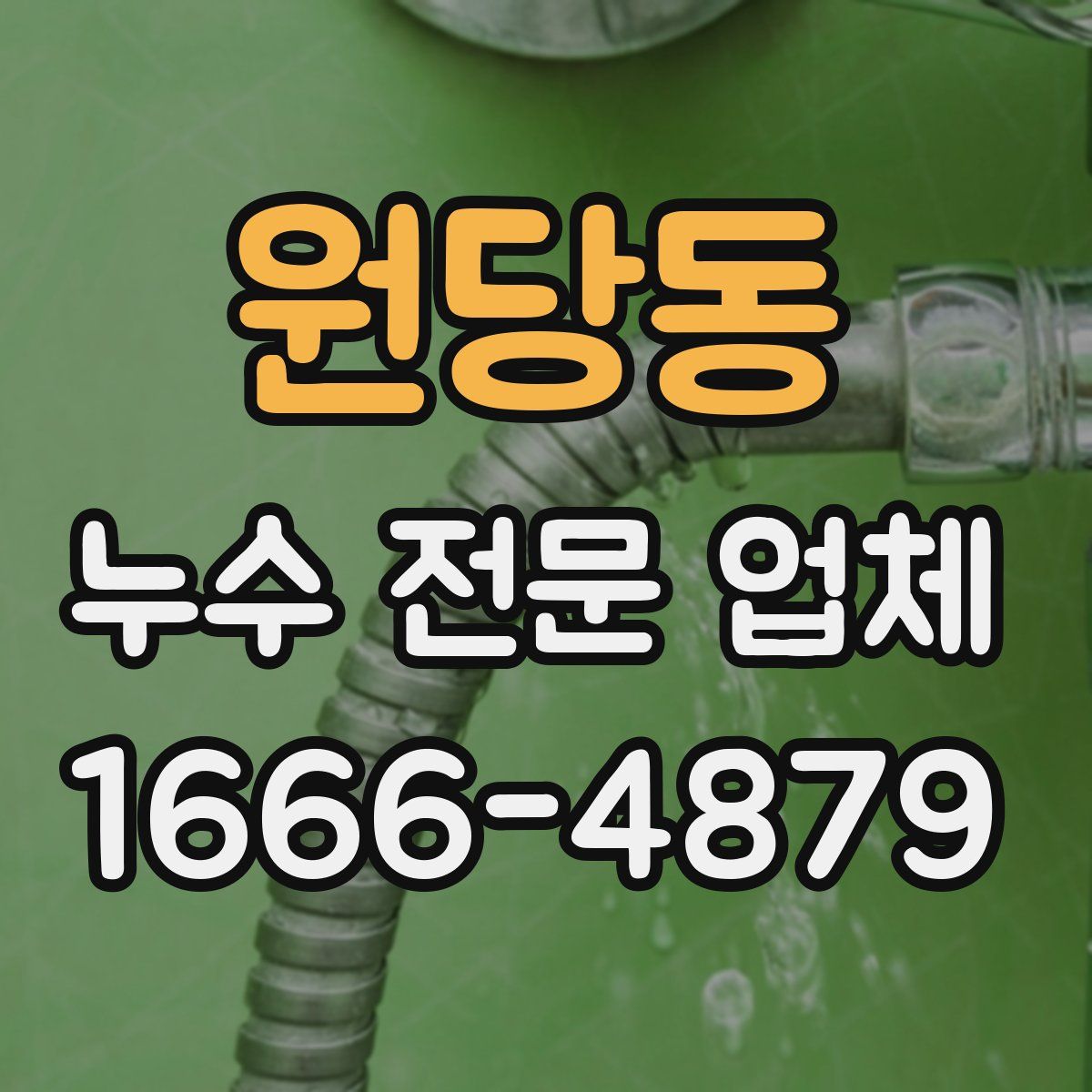 원당동 누수 전문 업체