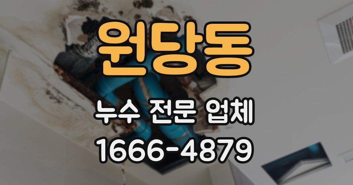 원당동 누수 전문 업체