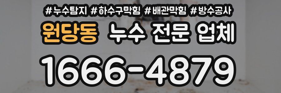 원당동 누수 전문 업체