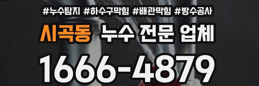 시곡동 누수 전문 업체