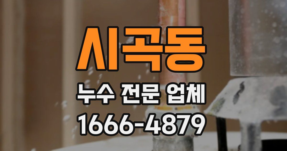시곡동 누수 전문 업체