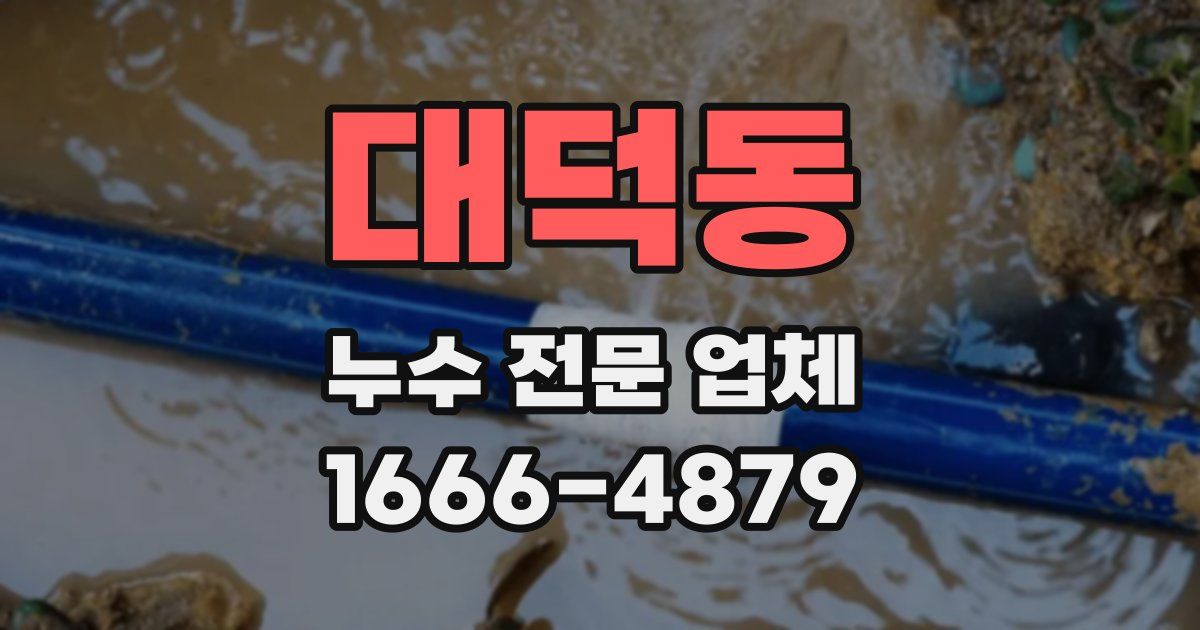 대덕동 누수 전문 업체