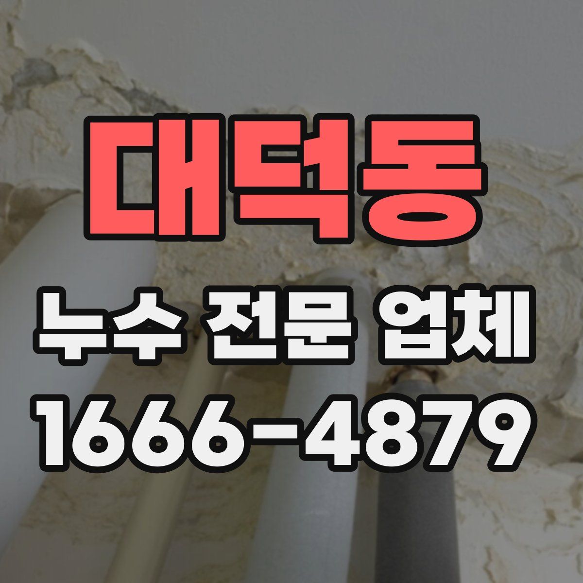 대덕동 누수 전문 업체