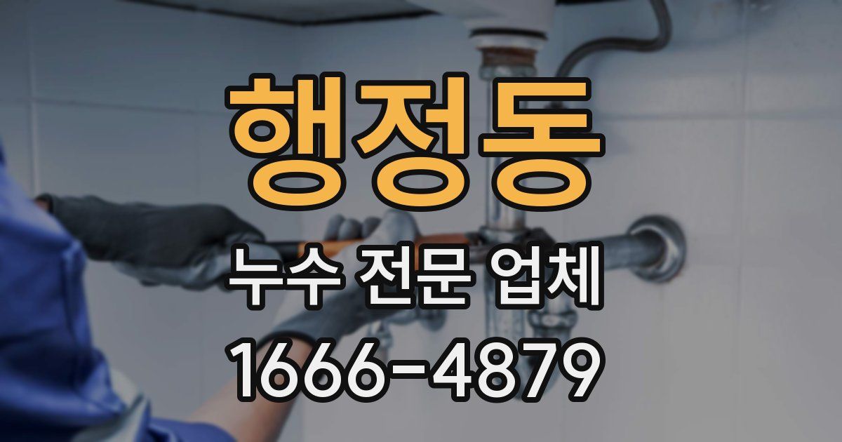 행정동 누수 전문 업체