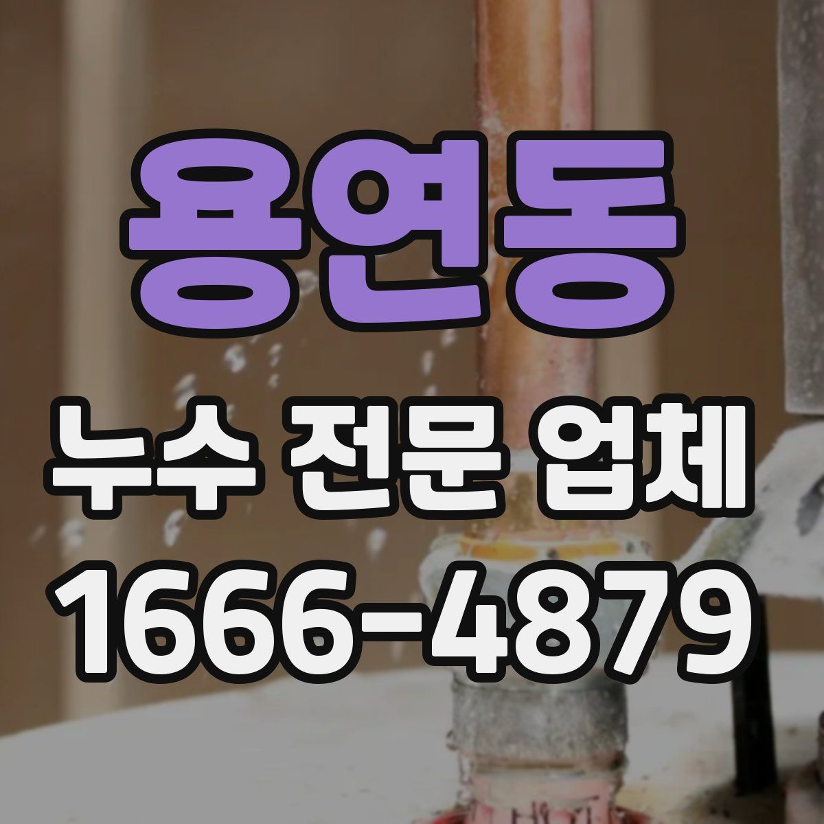 용연동 누수 전문 업체