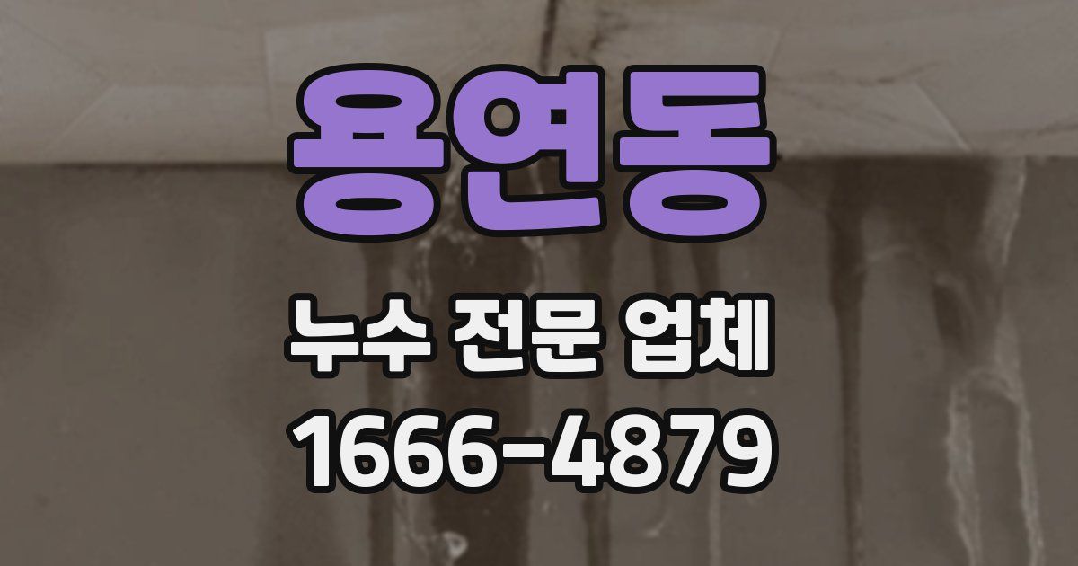용연동 누수 전문 업체